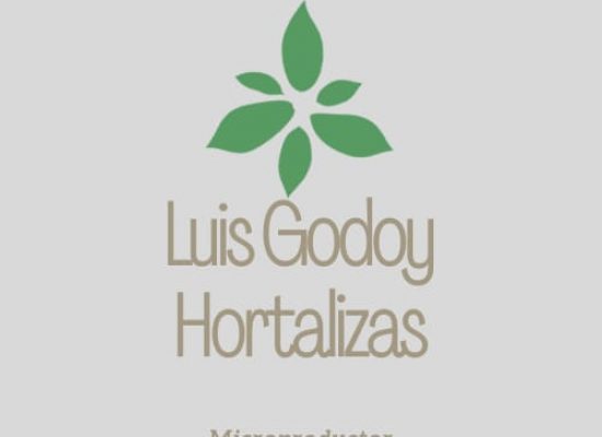Luis Godoy